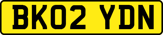 BK02YDN