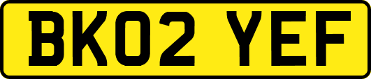 BK02YEF