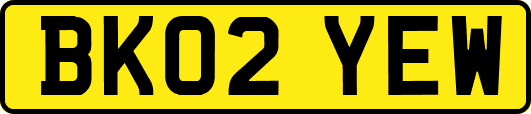 BK02YEW