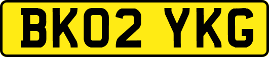 BK02YKG