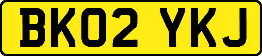 BK02YKJ