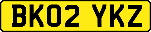 BK02YKZ