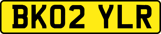 BK02YLR