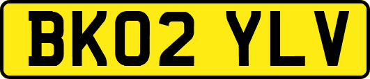 BK02YLV