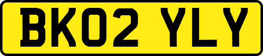BK02YLY