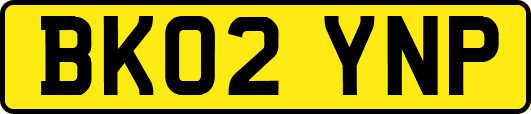 BK02YNP