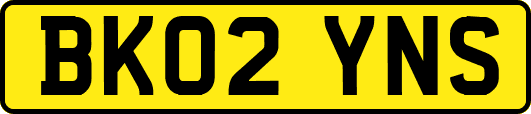 BK02YNS