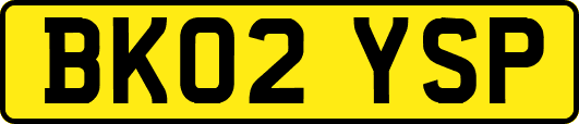 BK02YSP