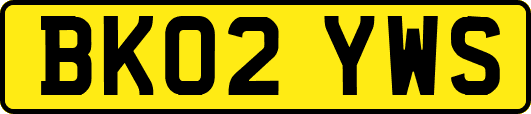 BK02YWS
