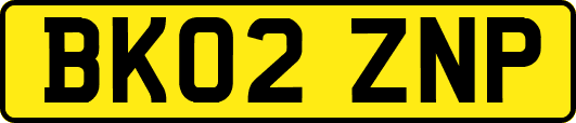 BK02ZNP