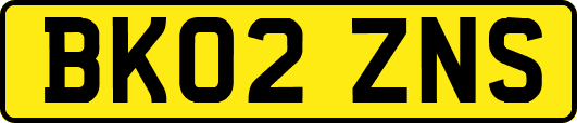 BK02ZNS