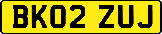 BK02ZUJ