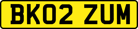 BK02ZUM