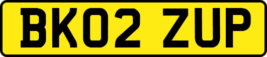 BK02ZUP
