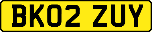 BK02ZUY