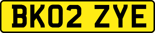 BK02ZYE