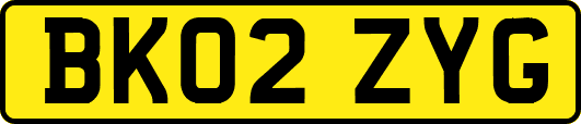 BK02ZYG