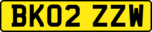 BK02ZZW