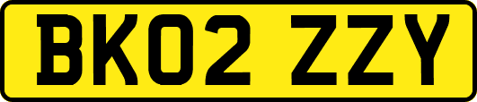 BK02ZZY