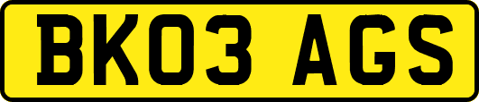 BK03AGS