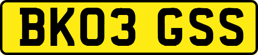 BK03GSS