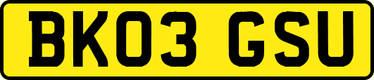 BK03GSU