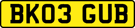 BK03GUB