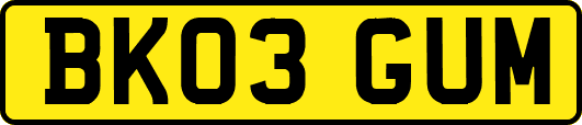 BK03GUM
