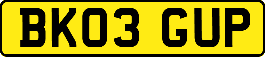 BK03GUP