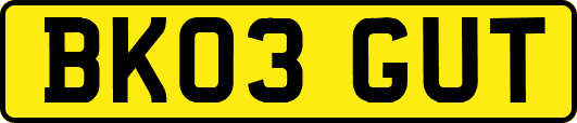 BK03GUT