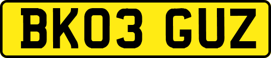 BK03GUZ