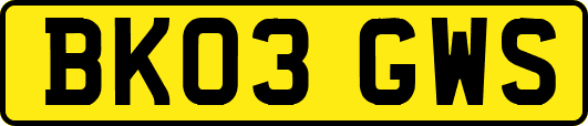 BK03GWS