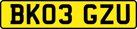BK03GZU