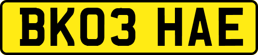 BK03HAE