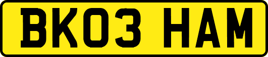 BK03HAM