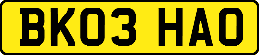 BK03HAO