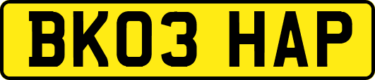 BK03HAP