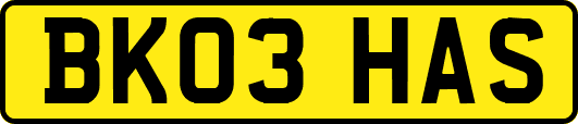 BK03HAS