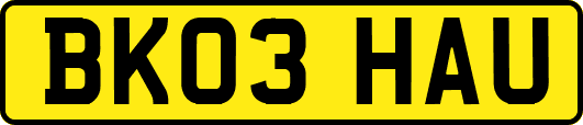 BK03HAU