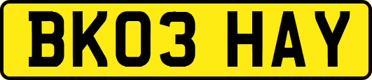 BK03HAY