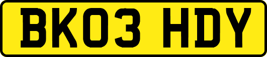 BK03HDY