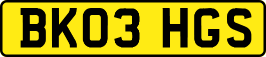 BK03HGS