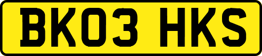 BK03HKS