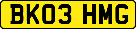 BK03HMG
