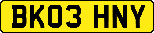 BK03HNY