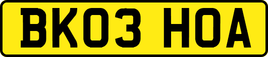BK03HOA