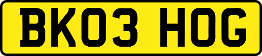 BK03HOG