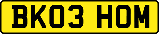 BK03HOM