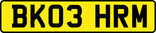 BK03HRM
