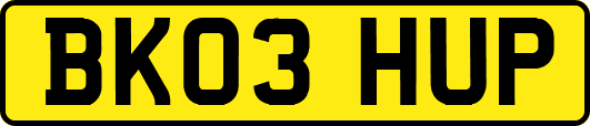 BK03HUP